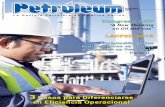 Diciembre 2015 - Petroleum 311