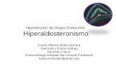 Hipertensión de Origen Endocrino: Hiperaldosteronismo