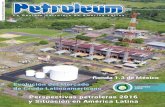 Enero 2016 - Petroleum 312