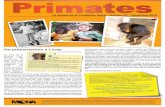 Revista Primates Nº 27
