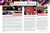 "México Aquí" abril 2016