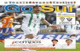 Revista GolSur 17 Córdoba-Albacete 10 04 2016