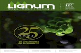 Revista LIGNUM 161 / Marzo-Abril 2016
