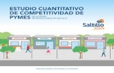 Estudio Cuantitativo de Competitividad de PyMES de la Zona Metropolitana de Saltillo