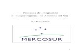 Procesos de integracion mercosur