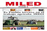 Miled Puebla 20-05-16