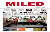 Miled Sonora 06 06 16