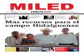 Miled Hidalgo 16 07 16