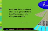 Perfil de salud de los pueblos indígenas de Guatemala