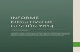 Informe Ejecutivo de Gestión 2014
