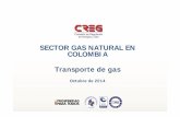SECTOR GAS NATURAL EN COLOMBIA Transporte de gas