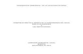 Diagnóstico Ambiental Local Bosa .pdf