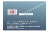 guias chilenas de manejo de la sepsis grave y el shock septico.