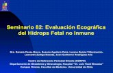 Seminario 82: Evaluación Ecográfica del Hidrops Fetal no Inmune