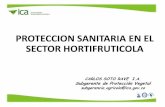 Protección Sanitaria en el Sector Hortifrutícola