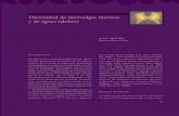 Diversidad de microalgas marinas y de aguas salobres (PDF ...