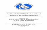 MARCADO DE TORTUGAS MARINAS