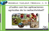 Aplicaciones Agricultura y Alimentación De La Radiactividad