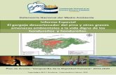 Informe Especial Gorgojo del Pino y Amenazas Ambientales