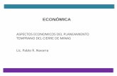 NAVARRA PABLO aspectos economicos del planteamiento ...