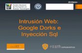 Intrusi³n Web: Google Dorks e Inyecci³n Sql