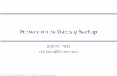 Protección de Datos y Backup