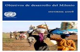 Objetivos de Desarrollo del Milenio, Informe de 2008