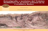 Estratigrafía y tectónica del Triásico Sudibérico en el sector oriental ...