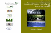 Planeación Eco-regional de Bosques y Selvas del Límite ...