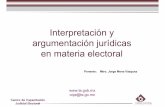 Interpretación y argumentación jurídicas en materia electoral