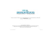 Guía Insarag 2012