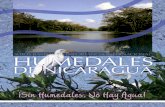 08Humedales de Nicaragua.pdf