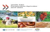 OCDE-FAO Perspectivas Agrícolas 2014-2023