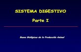 C5 Digestivo 1-Rumiantes.pdf