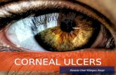 Corneal ulcers