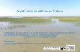 Seguimiento de anfibios en el Parque Nacional de Doñana