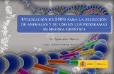 Utilización de SNPs como criterio de selección y su uso