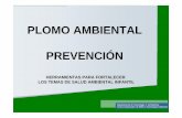 PLOMO AMBIENTAL: Prevención