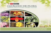 Catálogo de Flora. Especies CITES Peruanas