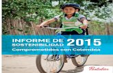 Informe sostenibilidad 2015