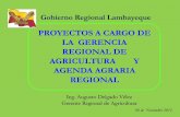 Proyectos a cargo de la Gerencia Regional de Agricultura y agenda ...