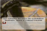 La tortuga hicotea en Colombia: biología. usos y conservación
