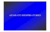 C4 APARATO RESPIRATORIO.pdf