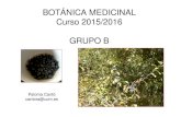 BOTÁNICA MEDICINAL Curso 2015/2016 GRUPO B