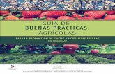 Guía de buenas prácticas agrícolas para la producción de frutas y ...