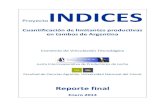 Proyecto INDICES