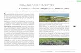 Comunidades vegetales terrestres. Formato PDF