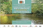 Catálogo de los recursos pesqueros continentales de Colombia
