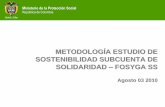 Metodología Estudio de sostenibilidad Subcuenta de solidaridad
