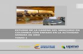 ESTUDIO DE LA CADENA DEL MERCURIO EN COLOMBIA CON ...